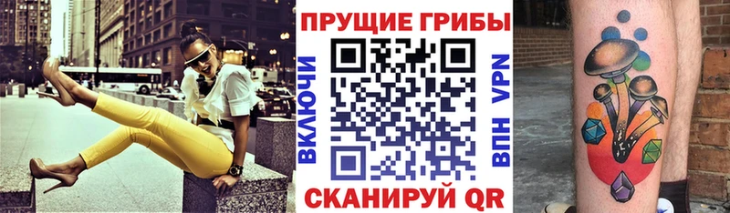 Псилоцибиновые грибы прущие грибы  хочу   Курганинск 